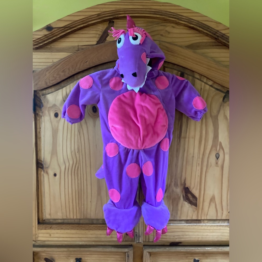 Girls Princess Paradise Teagan the Dragon pink purple costume size 6-12 months